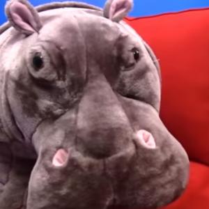 Where Hippo ? (feat. Jeffy) (Explicit)