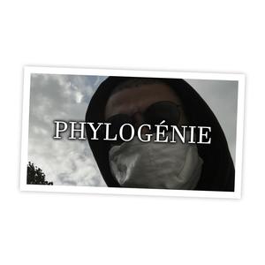 Phylogénie (Explicit)