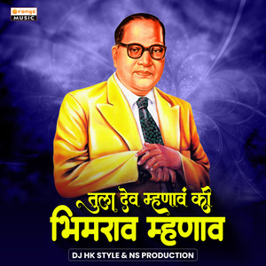 Tula Dev Mhanav Ki Bhimrao Mhanav (Dj Remix)