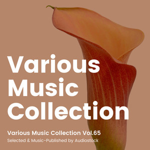 Various Music Collection Vol.65 -Selected & Music-Published by Audiostock-