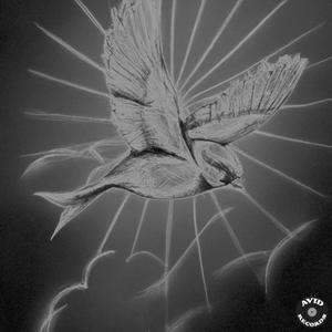 Sauced (feat. IamAidenCarter) (Explicit)