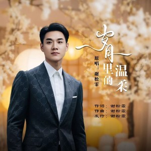 岁月里的温柔男版 (伴奏)