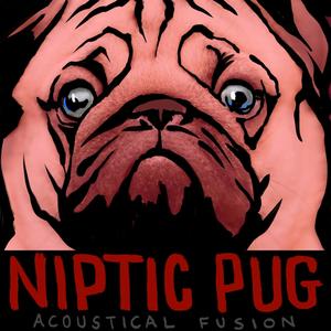 Niptic Pug