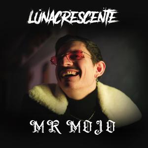 Mr Mojo (Explicit)