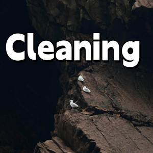 Cleaning