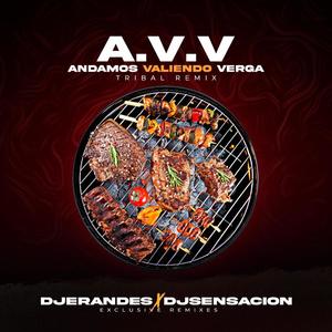 ANDAMOS VALIENDO VERGA TRIBAL (feat. DJ Sensacion) [Explicit]