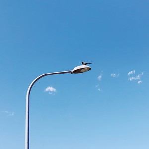 小王日记203封面