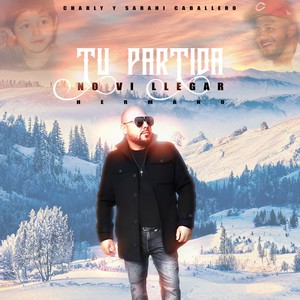 TU PARTIDA NO VI LLEGAR - HERMANO