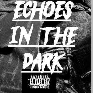 Echoes in the dark