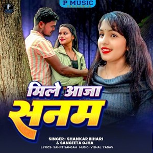 Mile Aaja Sanam