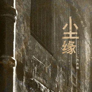 尘缘（繁花落尽一身憔悴在风里）
