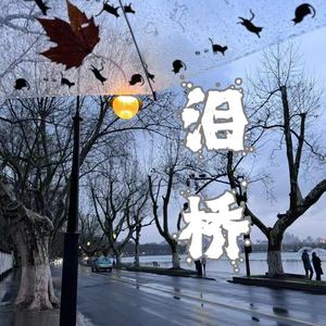 小野来了 - 泪桥 (你的心里我的吻)