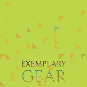 Exemplary Gear