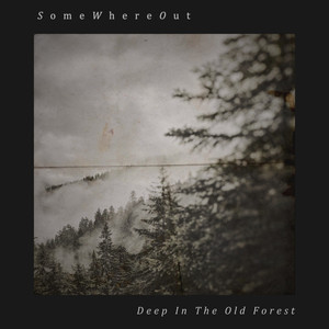 The Old Forest