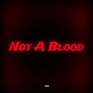 Not A Blood (Explicit)