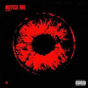 Notice Me (Explicit)