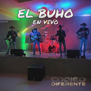 El Búho