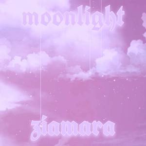 Moonlight (The Remixes)