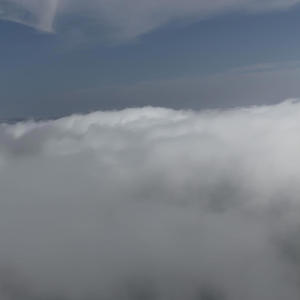 ion gotta flex (Explicit)