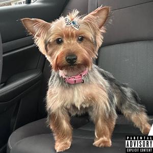 ZOEY (feat. Lil DuWop & mark on the boards) (Explicit)