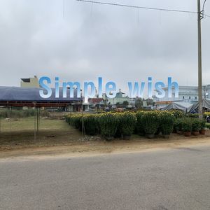 Flying clouds (Explicit)