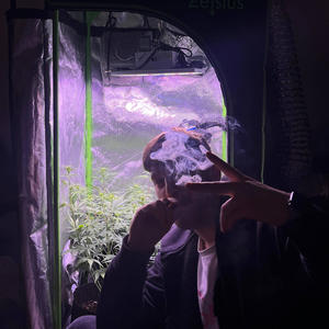 STU FREESTYLE (RMX|Explicit)