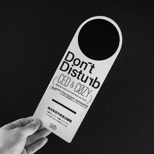 Don't Disturb (Explicit)