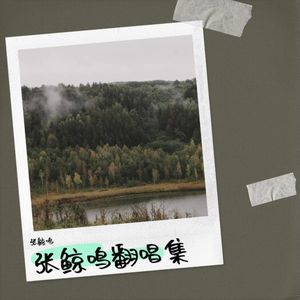 璀璨冒险人-张鲸鸣