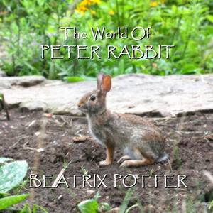 Beatrix Potter - The World Of Peter Rabbit