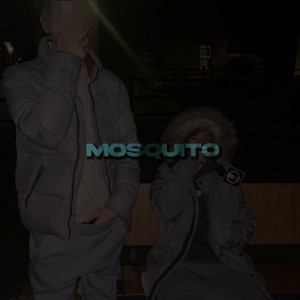 Mosquito (Explicit)