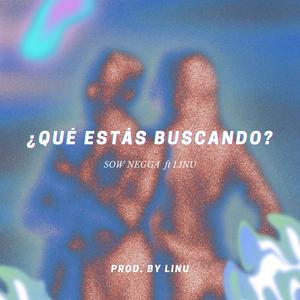 Que estas buscando? (feat. Linu) (Explicit)