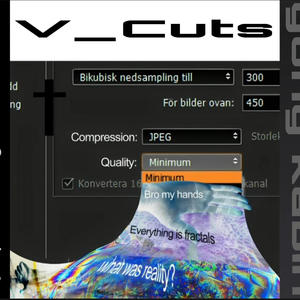 V Cuts (conz3rn remix|Explicit)