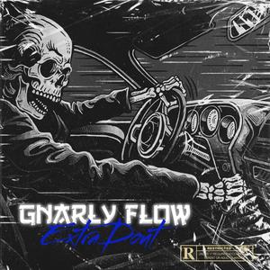 Gnarly Flow (Explicit)