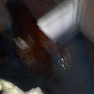 Zanpakuto (Explicit)