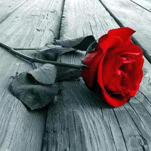 Baby (feat. lieve spin)