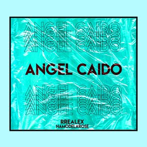 Angel Caido