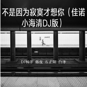 不是因为寂寞才想你 (佳诺小海清DJ版)