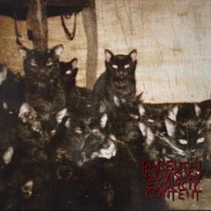 Black Cats (Explicit)