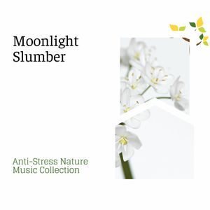 Massage Music - Touch My Heart