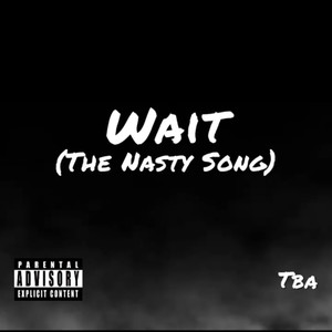 Wait (The Nasty Song) [Explicit]