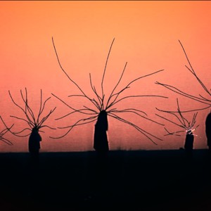 CER - Le soleil se lève au sud