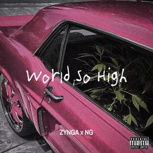 WorlD SO HigH(feat. NG & Swxgt) (Explicit)