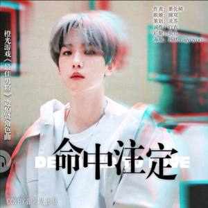 命中注定 MIX:虫几