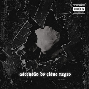 Ascensão do Cisne Negro (Explicit)