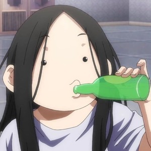 影子说