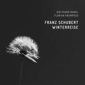 Winterreise, D.911 - Gute Nacht