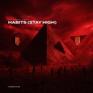 HABITS (STAY HIGH) (UK BASS HOUSE)