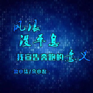 风浪没平息我宣告奔跑的意义