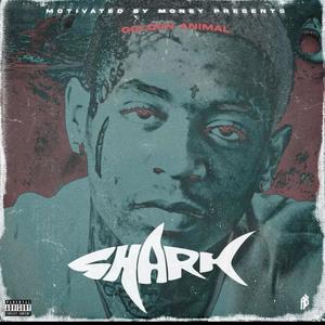 SHARK (Explicit)