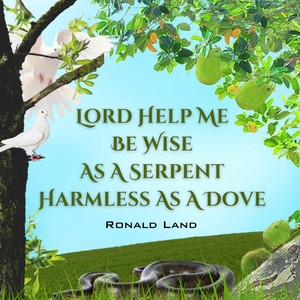 lord help me be wise as a serpent harmless as a dove